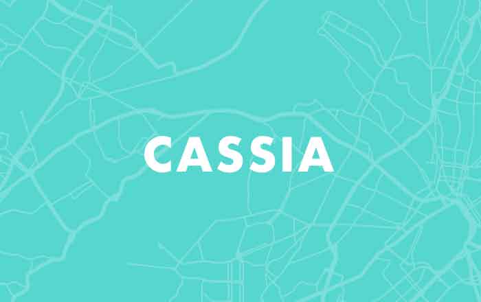 Cassia